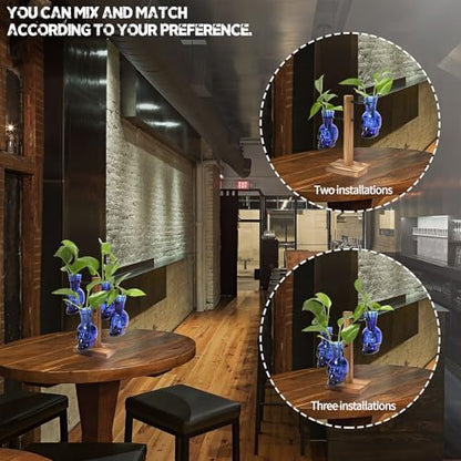 Plants Propagation Stations Skull Glass Propagation Birthday Gift for Women - color: Blue