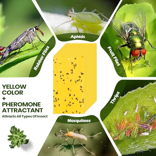 Qualirey 100 Pcs Yellow Sticky Traps for Gnats, 9.8 x 5.9 Inch - color: Yellow, size: 9.8 x 5.9 Inch