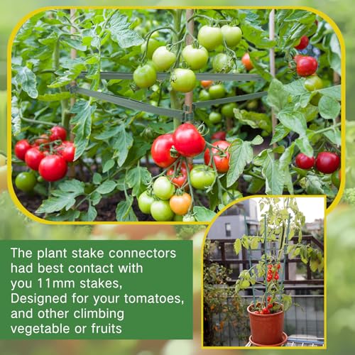 200 Pcs Plant Stake Arm for Tomato Cage, 11.8",16mm - size: 11.81in×0.43in