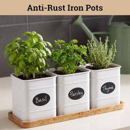 Herb Planter Indoor, 3-pc Herb Pots w/ Drainage Holes, Bamboo Tray & Labels - color: White