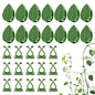 100 Pcs Plant Climbing Wall Fixture Clips, Self-Adhesive Hook for Vines - color: 50Pcs+50Pcs