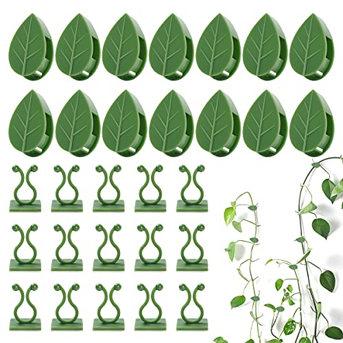 100 Pcs Plant Climbing Wall Fixture Clips, Self-Adhesive Hook for Vines - color: 50Pcs+50Pcs