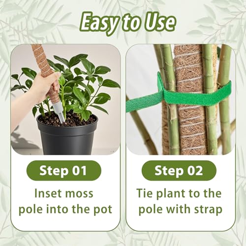 3 Pack Moss Pole, 48 Inch Monstera Plant Support, Moss Poles for Climbing Indoor Plants, Bendable Coco Coir Plant Support Stakes for Potted Plants, Pothos, Philodendron - size: 48 Inch - 3 Packs