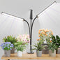 GooingTop Grow Light,24W (160Watts Equiv) 5000K White Full Spectrum LED Growing Lamp Clip on Desk for Indoor Plants,Bulbs Replaceable & Non-dimmable (Black, 120Watts) - size: 120Watts