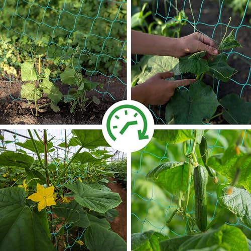 Trellis Netting, Heavy-Duty Garden Grow Netting for Climbing Plants, Outdoor Indoor Net for Cucumber, Tomatoes, Beans, Clematis, Fruits & Vegetables, Climbing Vining Plants (8.2' x 6.6'Ft) - size: 8.2' x 6.6'Ft