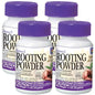 Bonide Bontone II Rooting Powder, 1.25 oz Ready-to-Use Dust for Houseplants and Transplants Speeds Root Development (Pack of 4) - size: 1.25 oz (Pack of 4)
