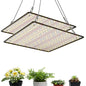 2 Pack LED Grow Light Panel 200W Lamp for Indoor Plants, Sun Like with White Blue Red UV IR LEDs for 4x4ft Coverage Grow Tent Greenhouse Veg and Bloom Seedlings Hydroponics - color: Sunlight