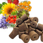 Grow Sponges for Click and Grow Pods, 10-Count Seedless Refill