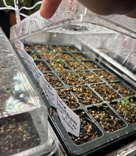 10-Pack Seed Starting Trays with Humidity Dome & Large 24-Cell 2" Plug Tray - color: Black, size: 10 Sets