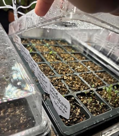10-Pack Seed Starting Trays with Humidity Dome & Large 24-Cell 2" Plug Tray - color: Black, size: 10 Sets