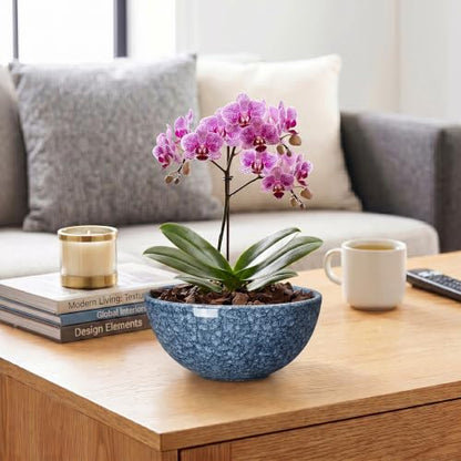 Succulent Pots, 8 Inch Ceramic Bonsai Pots, Bowl Planter, Scale Blue - color: Scale Blue-1, size: 8 Inch