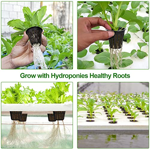HXSEMAYIG 100PCS 2 inch Net Pots,Hydroponics Cup, Net Cups for Indoor or Outdoor Growing - size: 100 Pack (2inch)