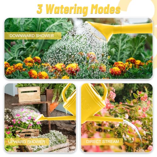 1 Gallon Watering Can, Plant Watering Can with Stainless Steel Shower Head - color: Yellow, size: 1 Gallon