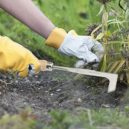 Crack Weeder 12" Stainless Steel Crevice Weeding Tool