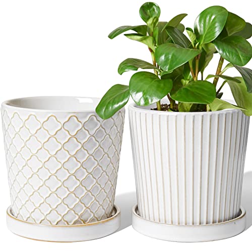 LE TAUCI Ceramic Pots for Plants, 5.4 Inch Plant Pots with Drainage Hole and Saucer, Indoor Plant Pots for Succulent, Snake Plants and Cactus, Flower Pots, Set of 2, Reactive Glaze White - size: 5.4 inch, style: Clover Trellis & Vertical Ribbed Set