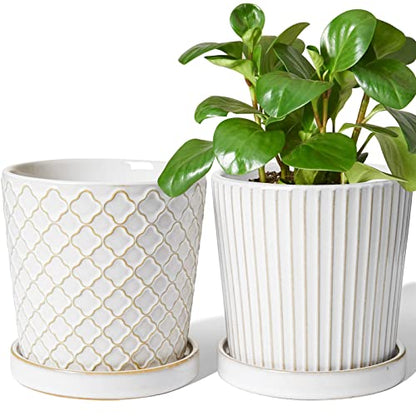 LE TAUCI Ceramic Pots for Plants, 5.4 Inch Plant Pots with Drainage Hole and Saucer, Indoor Plant Pots for Succulent, Snake Plants and Cactus, Flower Pots, Set of 2, Reactive Glaze White - size: 5.4 inch, style: Clover Trellis & Vertical Ribbed Set