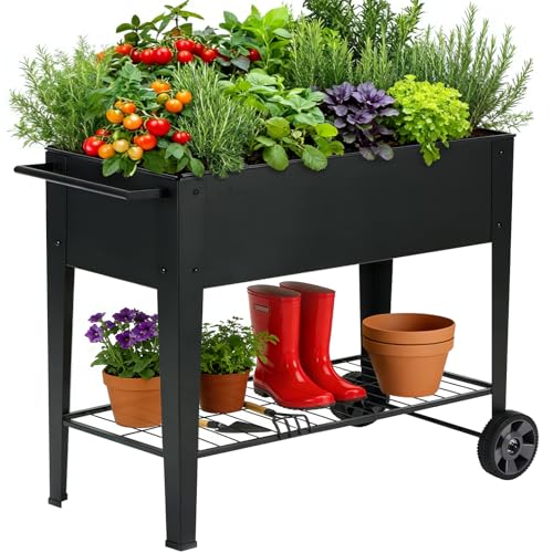 31.5" Tall Elevated Mobile Raised Garden Bed with Wheels and Shelf - size: 15.7"W ( 1PC )