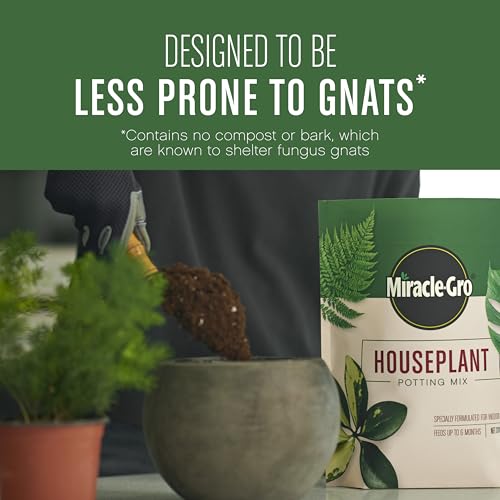 Miracle-Gro Houseplant Potting Mix, 4 qt. (2-Pack) - size: 2 Pack, style: Houseplant