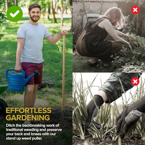 Stock Your Home Stand Up Weed Puller Tool, Heavy Duty Weeding Tool with Long Handle for Crabgrass and Dandelion Removal, Standing Weed Puller for Gardening Projects, Hand Weeder Remover Tool