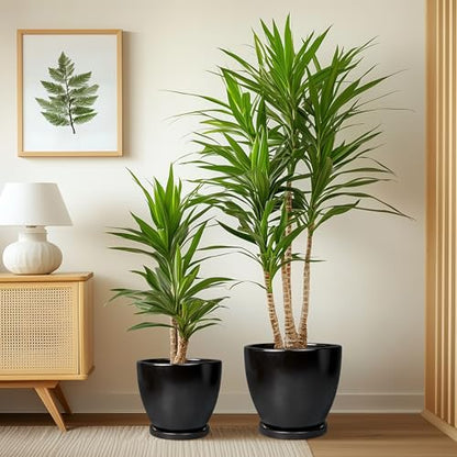 Ceramic Pots for Plants, 10+8+6 Inch Modern Flower Pot, Black - color: Matte Black