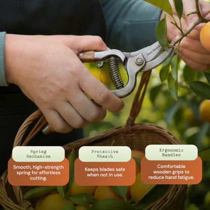 Garden Pruning Kit with Bypass Pruner & Precision Snips