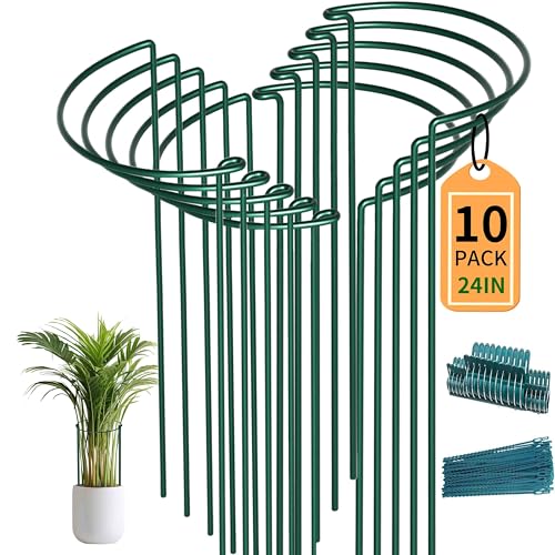 TCBWFY 10 Pack Garden Supports for Plants Metal 10" Wide x 24" High Interlock Half Round Garden Plant Support Ring Border Support Plant Support Ring Cage for Rose Flowers Vine Tomato - size: 10"Dx24"H-10PCS