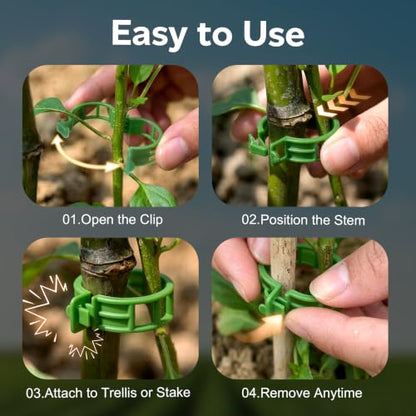 100Pcs Tomato Clips for Climbing Plants Trellis Plant Support Clips - color: Green