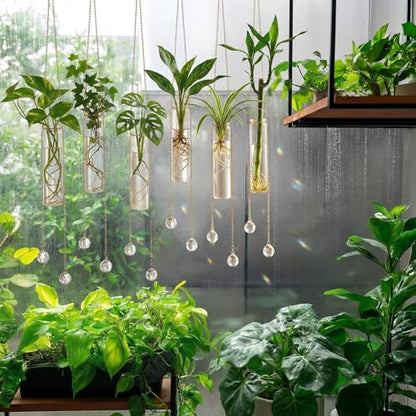 Hushee 6 Pcs Hanging Propagation Stations with Crystal Suncatcher