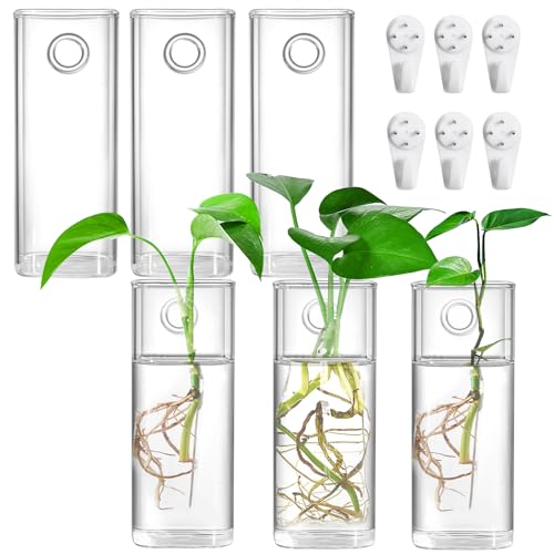 Fasmov 6 Pack Wall Hanging Glass Planters, Terrarium Holders for Air Plants, Succulents, Flowers - Square, Clear Vase Containers for Plant Display and Decoration - size: 2.36"L x 2.36"W x 6"H