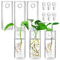 Fasmov 6 Pack Wall Hanging Glass Planters, Terrarium Holders for Air Plants, Succulents, Flowers - Square, Clear Vase Containers for Plant Display and Decoration - size: 2.36"L x 2.36"W x 6"H