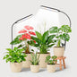 Garpsen Grow Light with Clip, Full Spectrum, Flexible Gooseneck, 2Pack - size: 2Pack