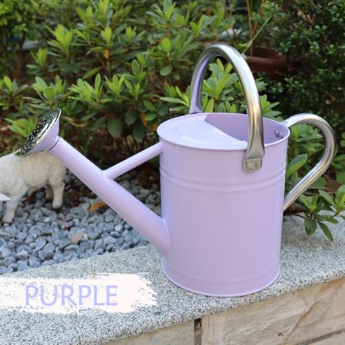 Metal Watering Can 1 Gallon for Outdoor Garden Plants,Purple - color: Purple With Stainless Steel Handle