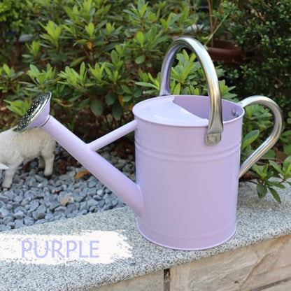 Metal Watering Can 1 Gallon for Outdoor Garden Plants,Purple - color: Purple With Stainless Steel Handle