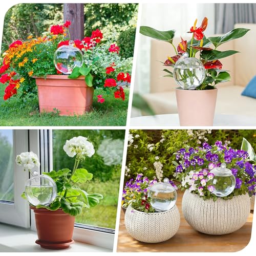 4 Pack 26 oz Extra Large Plant Self Watering Globes Top Fill - size: 4 Pack