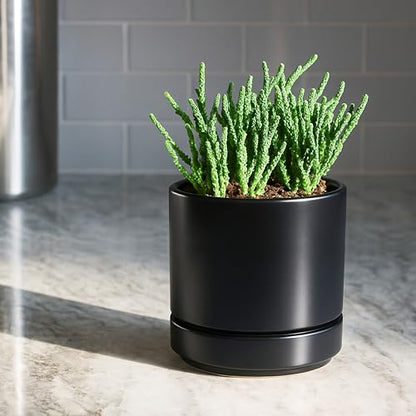 D'vine Dev 4-Pack Ceramic Pots with Saucers, Black, 4.7 in, 94-X-B-2 - color: Black, size: 4.7 Inch