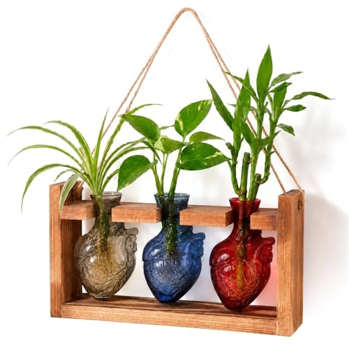 Plant Terrarium Propagation Stations Hydroponics Human Heart Shape Vase with Wooden Stand Halloween Heart Planter Glass Vases for Hydroponics Home Garden Office Decor(Colorful) - color: Colorful