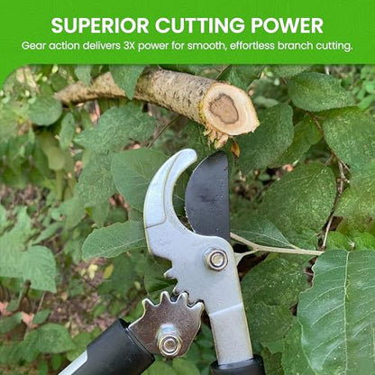 GARDEN GURU Bypass Loppers Tree Trimmer Clipper 3X Cutting Power Gardening Loppers Pruning Shear, Comfort Grip Handles, High Carbon Steel Blade, Heavy Duty Branch Cutter, Cut Thick Branches w Ease (2) - size: 2 Pack, style: Power Bypass Loppers