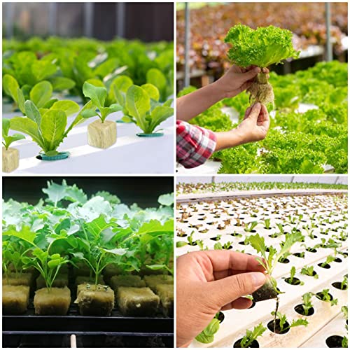 Legigo 1.2" Rockwool Cubes Seed Starter Plugs for Hydroponics, 216 Plugs - color: 6 Sheet, size: 1.2" Plugs