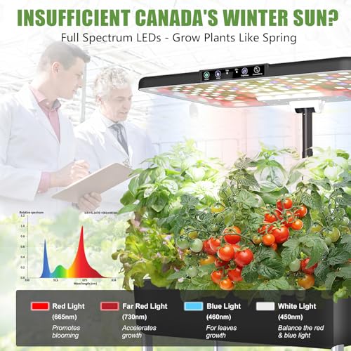 Large Hydroponics Growing System Kit,44-Pod with 3 Seed Packs - size: 2-Tier