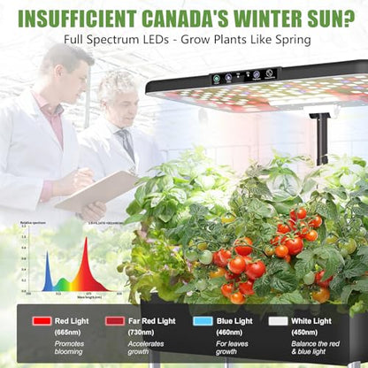Large Hydroponics Growing System Kit,44-Pod with 3 Seed Packs - size: 2-Tier