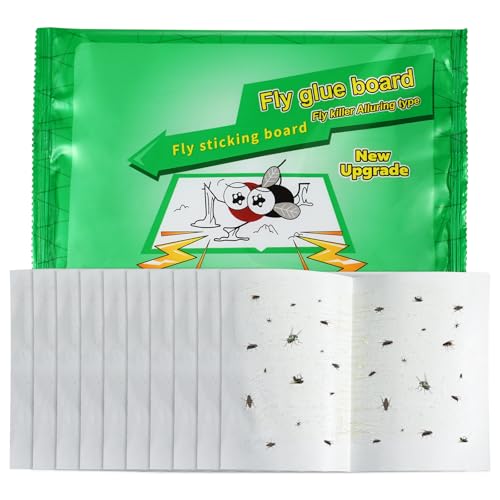 Qualirey 10 Pcs Fly Paper Traps Sticky Adhesive Fly Paper Traps Indoor and Outdoor Fungus Gnat Killer Plants Insect Gnat Catchers Glue Boards for Bug, Whiteflies, Aphids, Pest Control