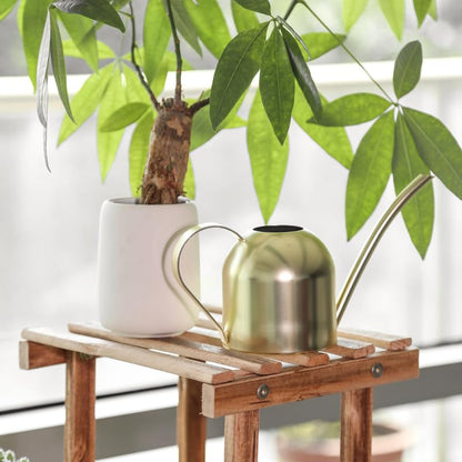 Gold Watering Can for Indoor Plants, 450ml/15oz Metal - size: Gold 15 oz