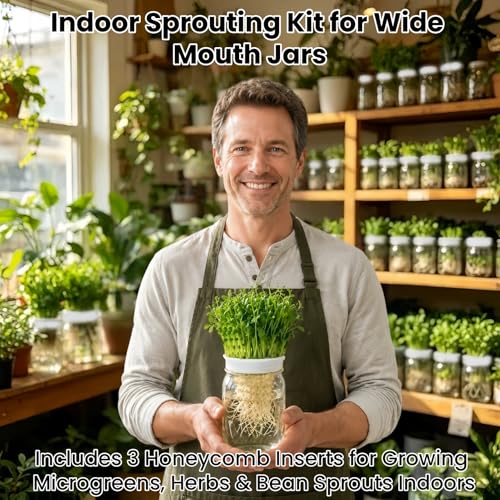 Honeycomb Sprouting Trays for Mason Jars, 3-Pack Seed Starter