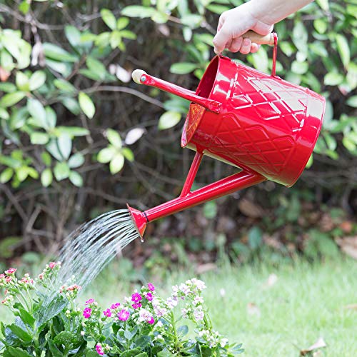 1 Gallon Red Metal Watering Can, Removable Spout - color: Red, size: 1 Gallon