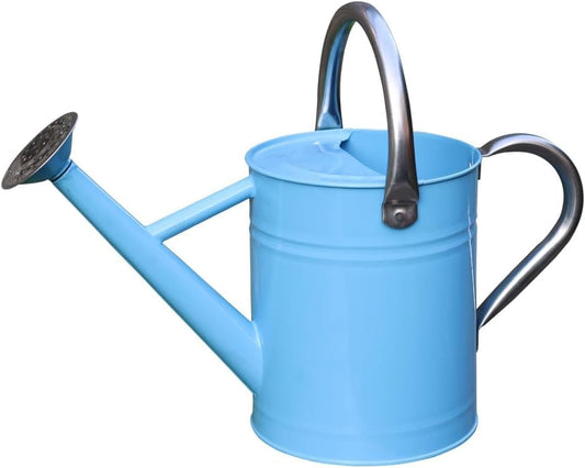 Metal Watering Can 1 Gallon for Indoor and Outdoor Plants Blue - color: Blue 1 Gallon
