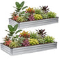 G GOOD GAIN 2Pcs Galvanized Raised Garden Bed 8x4x1ft for Herbs, Silver - color: Silver, size: 8x4x1FT(2 Pack)
