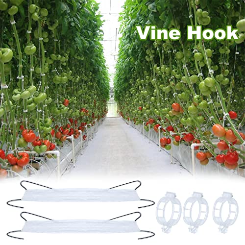 40Pcs Tomato Hooks with String, Holder & Plant Support Clips - 33.3ft Twine to Prevent Tomatoes from Pinching or Falling Off - color: White-40PCS