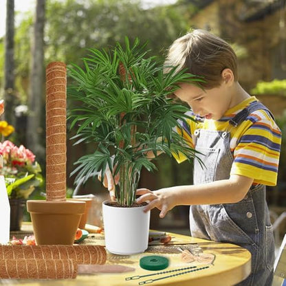 Moss Pole Monstera Plant Support: 4 Pack 16 inch Stackable Coco Coir - size: 4-pack