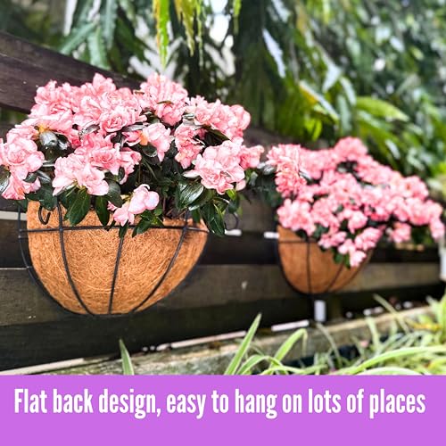 ShopLaLa Hanging Wall Planters (10 in, 4 Pack) Black Coco Liner Flower Pots - size: 10" (25cm) x 4 Pack