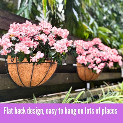ShopLaLa Hanging Wall Planters (10 in, 4 Pack) Black Coco Liner Flower Pots - size: 10" (25cm) x 4 Pack